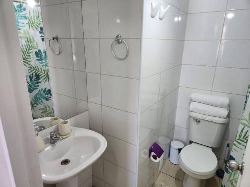 サンティアゴにあるMWC Apartments Compañía 3のトイレと洗面台を備えた白いバスルーム