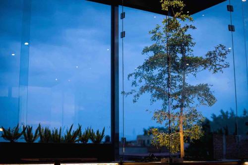 a tree is reflected in a glass building at Othelo Boutique Hotel Mexico in León