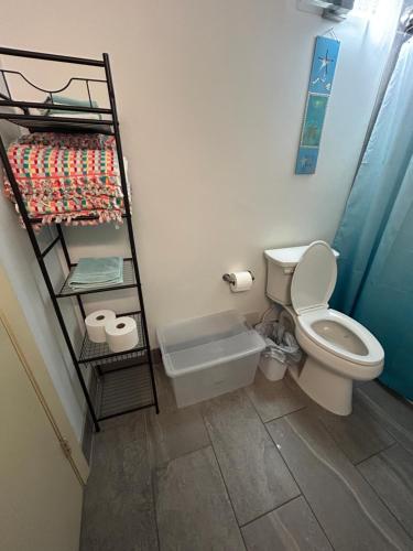 a bathroom with a toilet and a shelf at Single or Double Beach Studio Oceanfront Pool & Tiki in Daytona Beach Shores