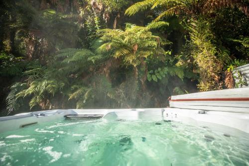 a bath tub with water and trees in the background at Ivorytowers Accommodation in Fox Glacier