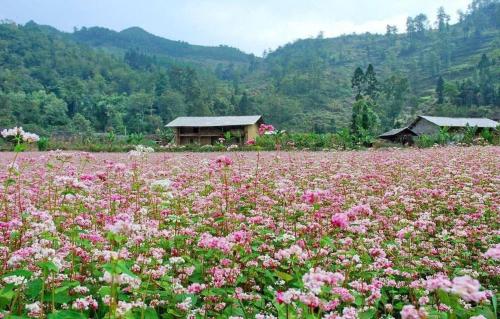 Landskap semula jadi dekat dengan hotel