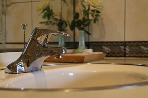 a bathroom sink with a chrome faucet on it at Apollo Hotel in Puli