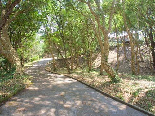 Photo de la galerie de l'établissement Villa entre lac et océan avec spa, jardin et air conditionné à Hossegor - FR-1-791-26, à Soorts-Hossegor