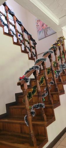 a set of stairs with christmas decorations on them at Cata Bed Breakfast Pet-friendly in San José