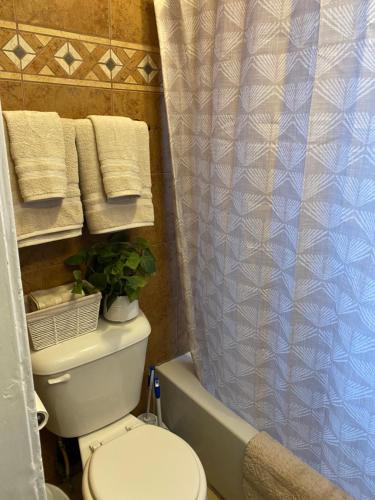Un baño con inodoro y cortina de ducha. en Casa localizada muy cerca del estadio, 8 minutos del centro y muchos lugares mas, No se permiten fiestas , o fumar, en Milwaukee