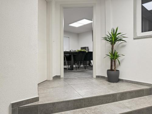 a hallway with a table and a potted plant at Gruppenfreundl Komfort Apt für 18 im Zentrum Stuttgarts in Stuttgart