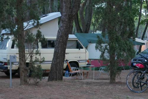 Фотография из галереи Belvedere Pineta Camping Village Grado в Градо