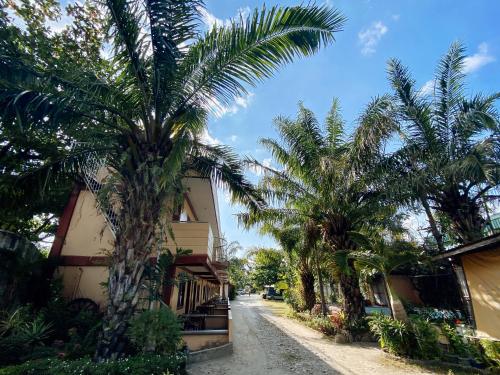 a street with palm trees next to a building at RedDoorz Hostel at Megans Paradisio Beach Resort in Zambales