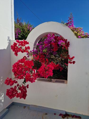 a window with red and purple flowers on a white wall at Xenonas in Kamilari