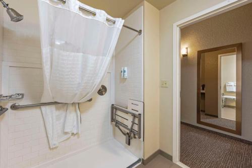 Koupelna v ubytování Comfort Inn & Suites
