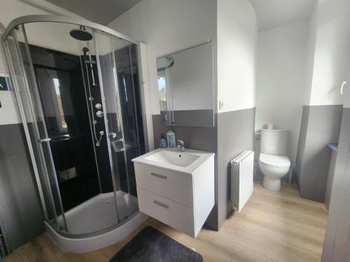 une salle de bain avec un lavabo, une douche et des toilettes dans l'établissement Loft cosy au calme, à Montbéliard