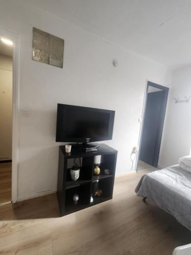 un salon avec une télévision à écran plat sur un meuble dans l'établissement Loft cosy au calme, à Montbéliard