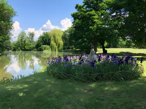 a garden with purple flowers next to a lake at Apartmenthaus Schlosspark in Worms