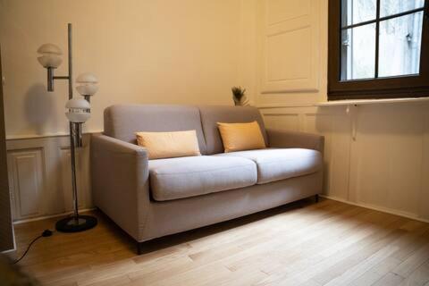 - un canapé avec deux oreillers dans le salon dans l'établissement Appartement Hotel du Chastenoy - Vieille ville Stanislas, à Nancy