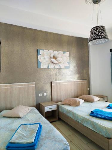 korali view rooms