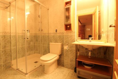ein Badezimmer mit Toilette, Waschbecken und Dusche in der Unterkunft Villa Nuria in Tramacastilla de Tena