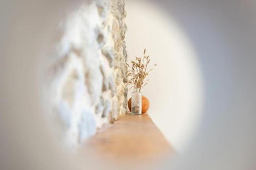 a plant in a vase sitting in a hallway at Appartement rénové, charme naturel et authenticité au cœur du village in Sorède