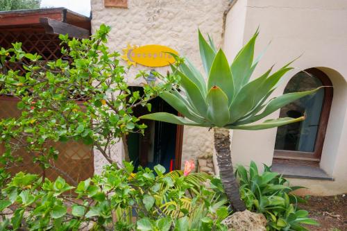 a small palm tree in front of a building at Hotel Villa Belfiori in Torre Dei Corsari