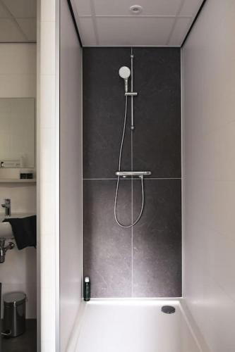 a shower in a bathroom with a gray wall at Tiny House 'Het Berkenhuisje' in Voorthuizen