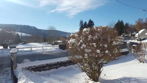 Ein schneebedeckter Baum neben einem Zaun in der Unterkunft La Petite Maison in Murat-le-Quaire