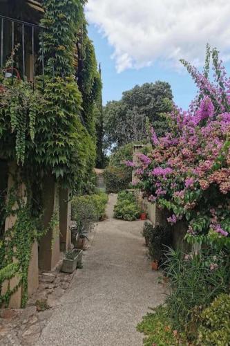 a garden with flowers on the side of a building at Appartement rénové, charme naturel et authenticité au cœur du village in Sorède