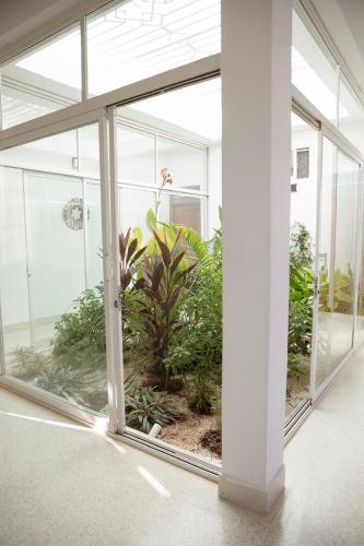 a room with a large window with plants in it at Paje White House in Paje