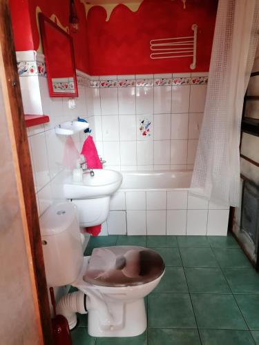 a bathroom with a toilet and a sink at Haus 9 am Fluss in Witnica