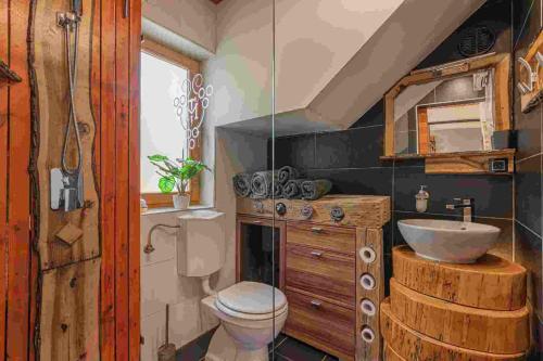 a bathroom with a toilet and a sink at Holiday home in Trebnje Kranjska Krain 42897 in Trebnje