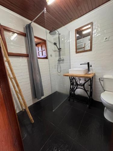 a bathroom with a shower and a toilet and a sink at Abrigo das Penhas in Manteigas