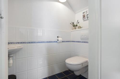 a white bathroom with a toilet and a sink at Boerderij de Borgh in Westerbork