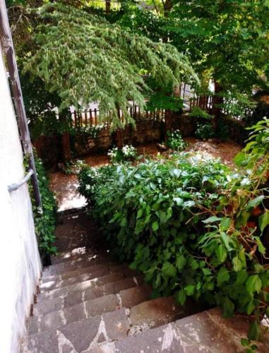 a garden with a fence and some plants at La Stella Alpina in Tagliacozzo