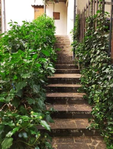 a set of stone stairs leading up to a building at La Stella Alpina in Tagliacozzo