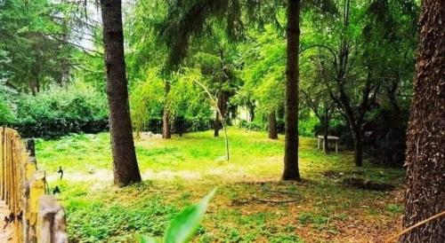 a park with trees and grass and a fence at La Stella Alpina in Tagliacozzo