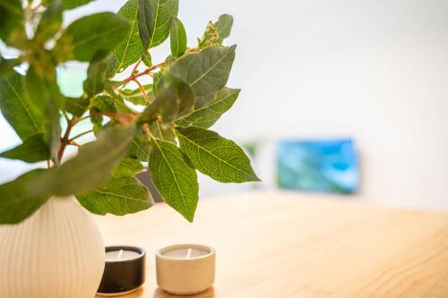 a plant in a vase sitting on a table with three candles at COMFY APARTMENT Wesseling in Wesseling