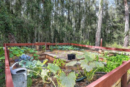 Zahrada ubytování The Treehouse - Pet Friendly home in Jervis Bay!