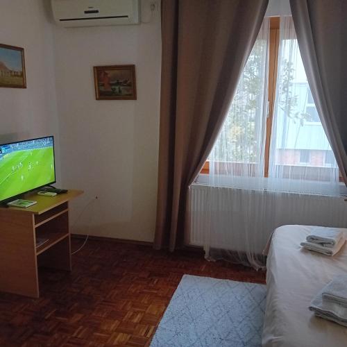 a room with a bed and a television and a window at Zeravica Rooms B&B in Sremski Karlovci
