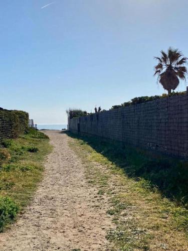 un chemin de terre à côté d'un mur de briques avec un palmier dans l'établissement Beach Nest, à Hyères