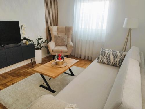 a living room with a couch and a chair at Apartman Vasilisa in Novi Sad