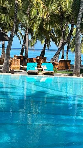 a blue swimming pool with chairs and palm trees at PAILLE EN QUEUE with HEATED POOL PISCINE CHAUFFEE in Rivière Noire