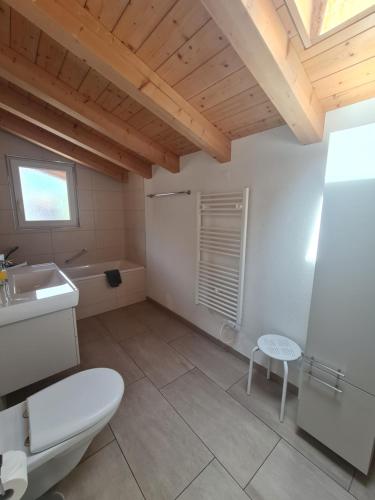Koupelna v ubytování Jungfrau Penthouse - Aare Jungfrau AG