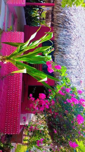 Jardin de l'établissement ECOHOTEL LAS FLORES Econativo
