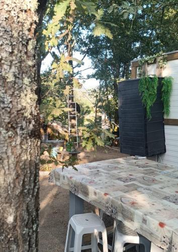 a picnic table in a yard next to a tree at Alojamento 4 in Monção