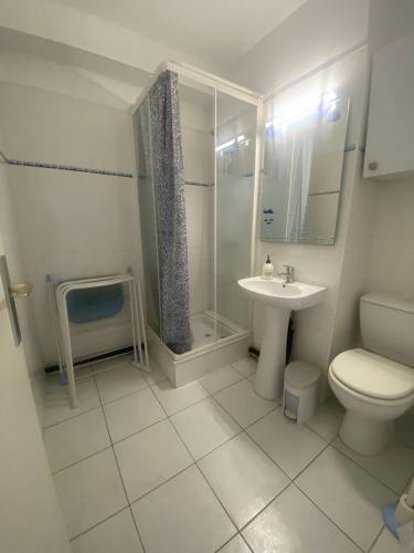 une salle de bain avec toilettes, lavabo et douche dans l'établissement AS13647- Studio dans résidence avec Piscine et climatisation, au Grau-du-Roi