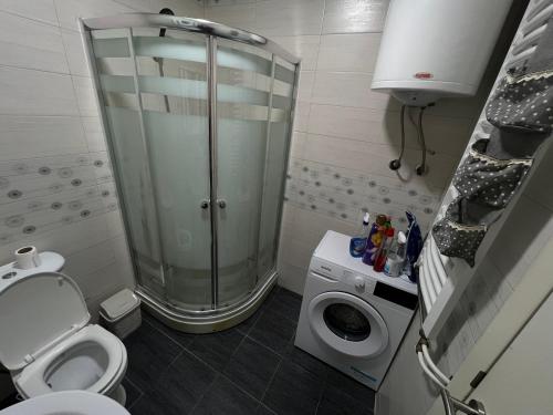 Un baño con ducha y WC y una lavadora. en Peja Apartment, en Peje