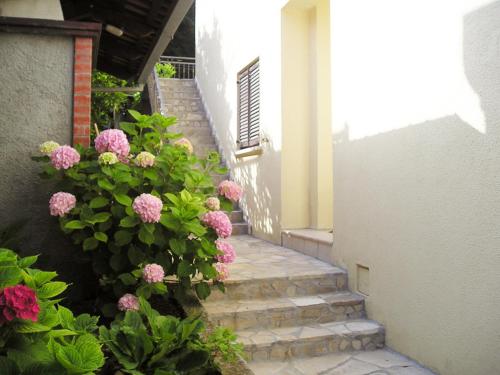 Villa Luka