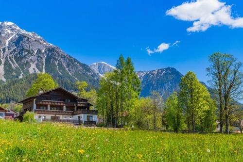 ラムサウ・アム・ダッハシュタインにあるBergidyll 9 by Alpenidyll Apartmentsの山を背景にした畑の家