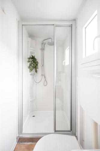 a shower with a glass door in a bathroom at Club del Sole Vigna sul Mar Family Collection in Lido di Pomposa