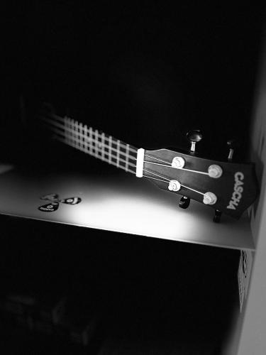 a black and white image of a guitar on a shelf at Bydlit cz in Brno
