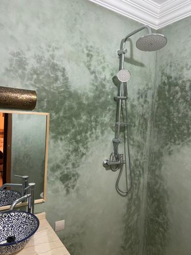 eine Dusche in einem Badezimmer mit einer grünen Wand in der Unterkunft Habibi Riad&Hostel in Marrakesch