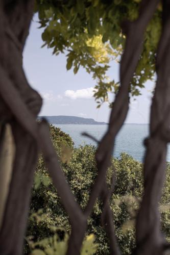 a view of the water through the branches of a tree at Grand Hotel Fasano in Gardone Riviera